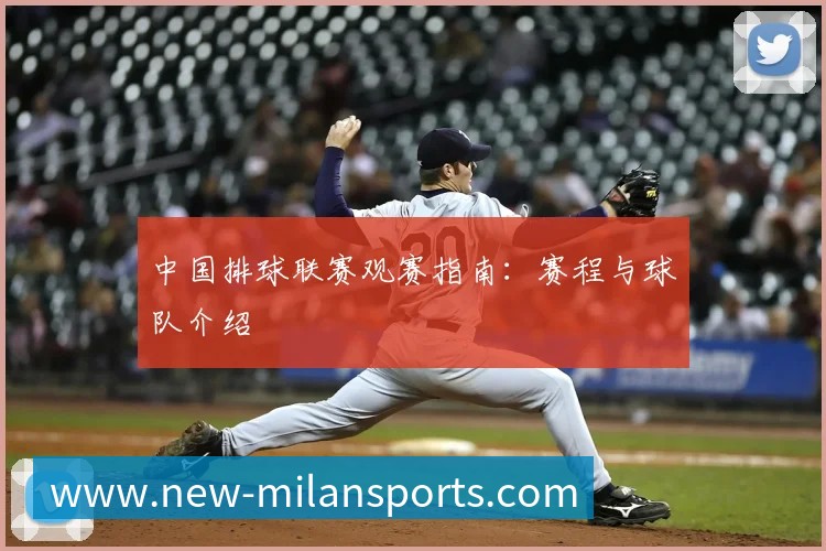 中国排球联赛观赛指南:赛程与球队介绍